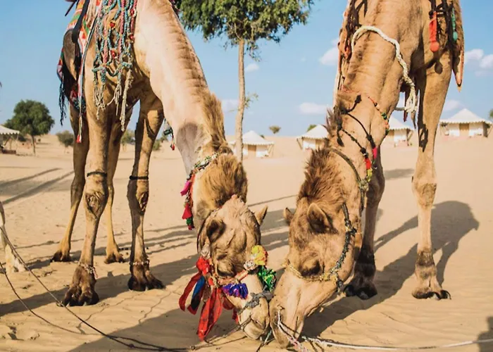 Serendipity Desert Camp & Resort Jaisalmer
