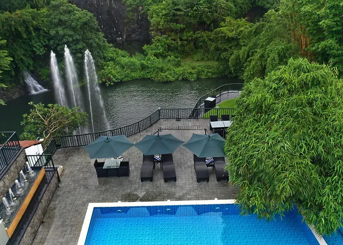 Athirapally Green Trees Athirappilly