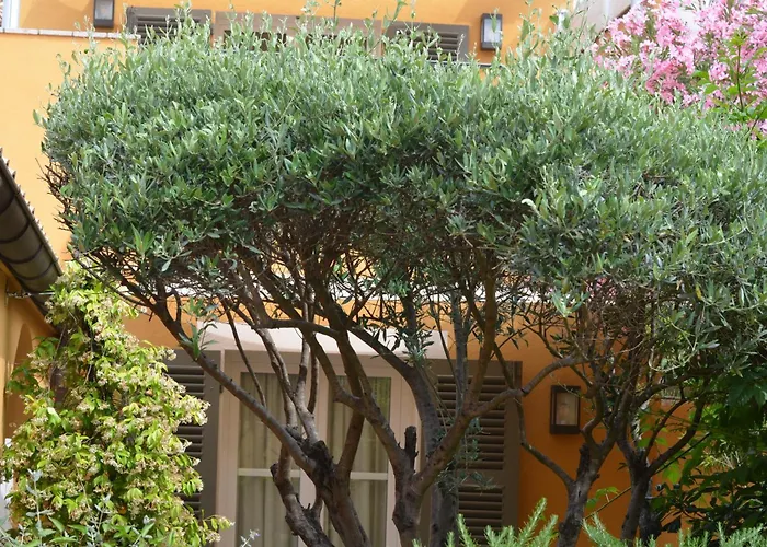 Le Mouillage Hotel Saint-Tropez