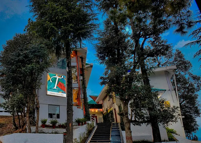 Treehouse Chail Villas