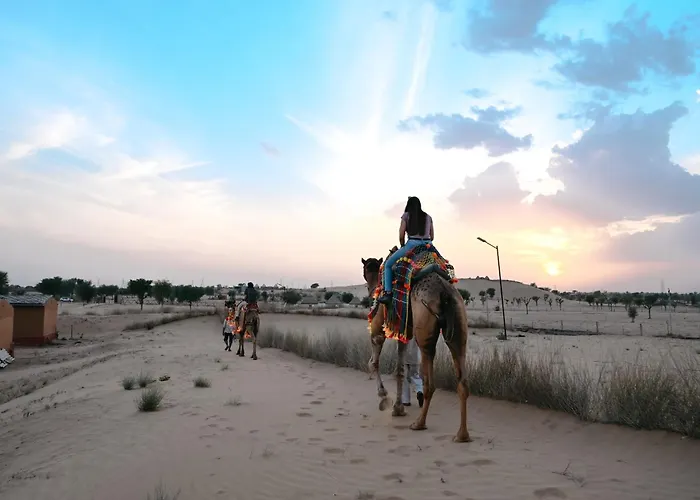 Hotel Rajvi Residency A Unit Of Jas Hotels And Resorts Bikaner
