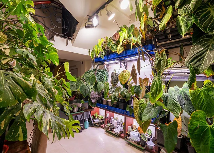 Amango Home Ho Chi Minh City