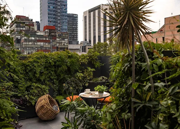 Reforma Guest House Mexico City