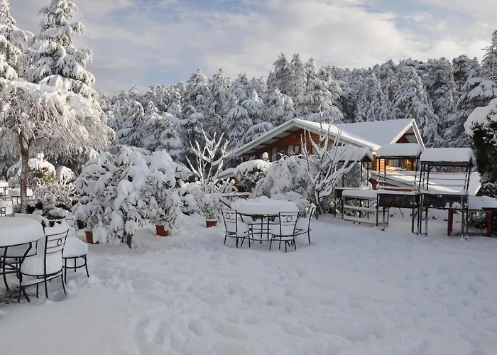 The Chalets Naldehra Shimla