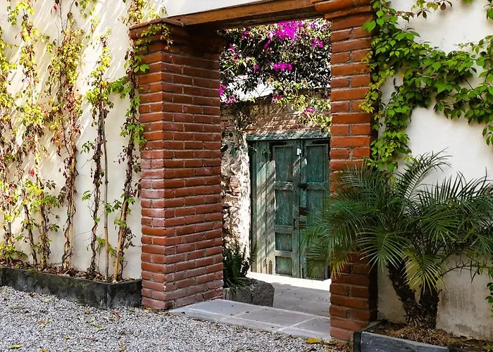 Orchid House Coyoacan Mexico City