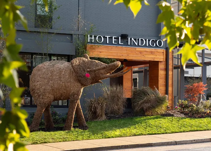 Hotel Indigo Chattanooga - Downtown By Ihg