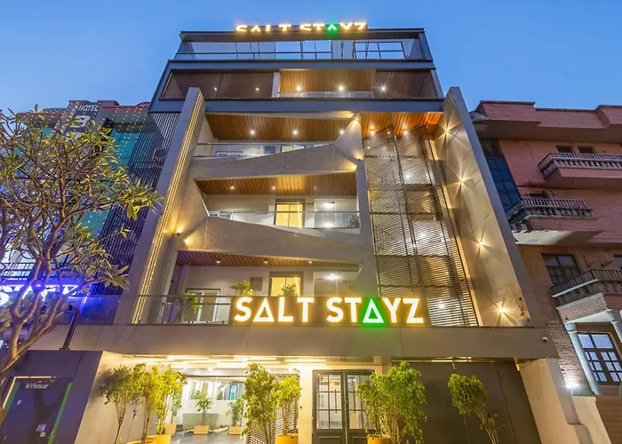 Saltstayz Premier - Paschim Vihar New Delhi