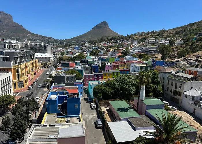 Urban Elephant, The Rose Cape Town
