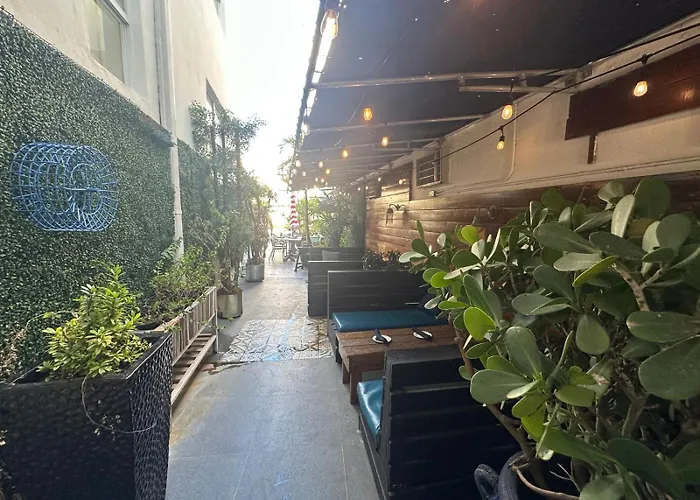 Maxine'S Dorset Catalina Hotel Miami Beach