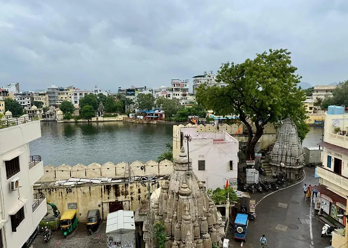 The Luxury Tiger At Lake Pichola Udaipur