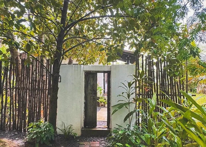 Sunsets And Palm Trees Bed & Breakfast Alappuzha