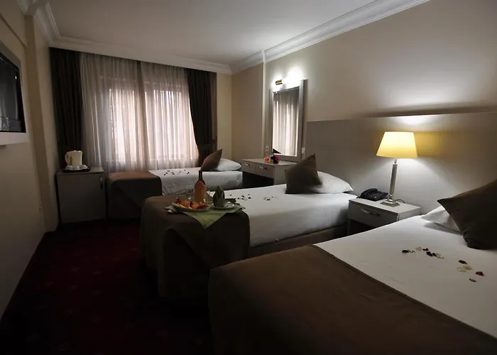 Hotel Buyuk Sahinler Istanbul