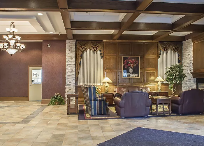 Comfort Inn Lundy'S Lane Niagara Falls