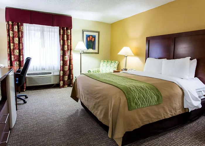Comfort Inn Columbia West