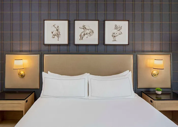 Hilton San Antonio Hill Country Hotel