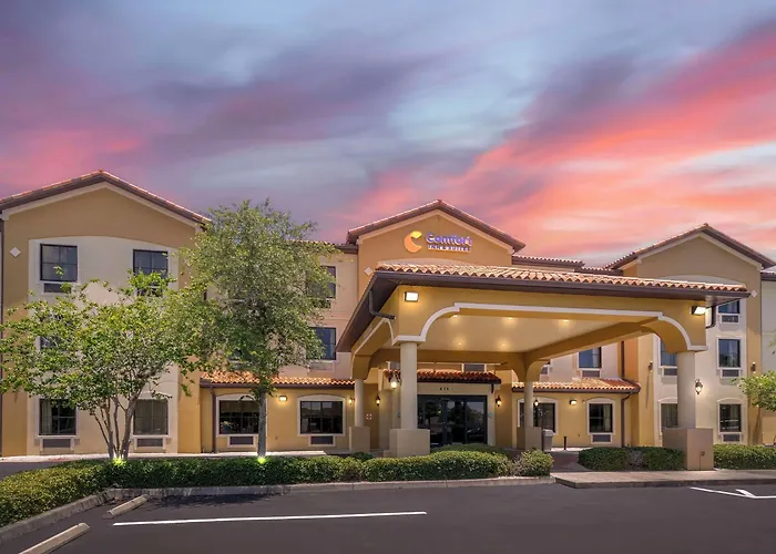 Comfort Inn & Suites Northeast - Gateway St. Petersburg