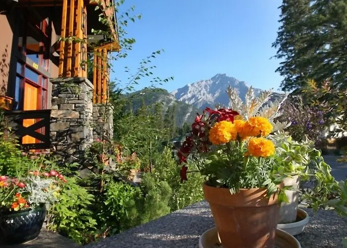 Buffaloberry Bed & Breakfast Banff