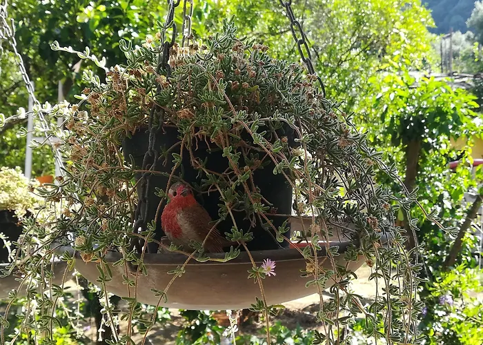 Sorrento Experience Bed & Breakfast
