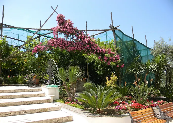 Oasi Madre Della Pace Bed & Breakfast Sorrento