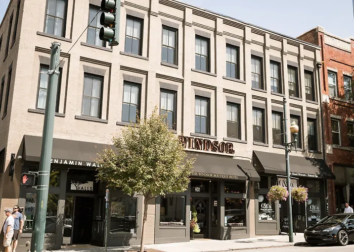 The Windsor - Asheville