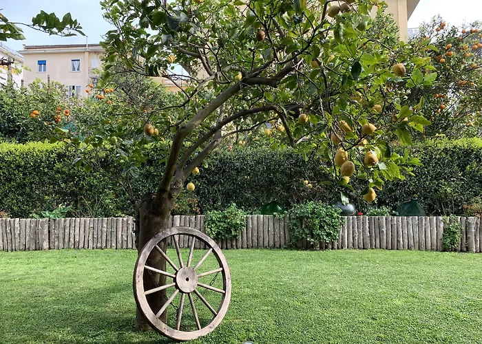 Giardino Sorrentino Bed & Breakfast