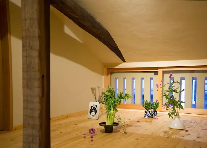 Ryokan Mugen (Adults Only) Kyoto