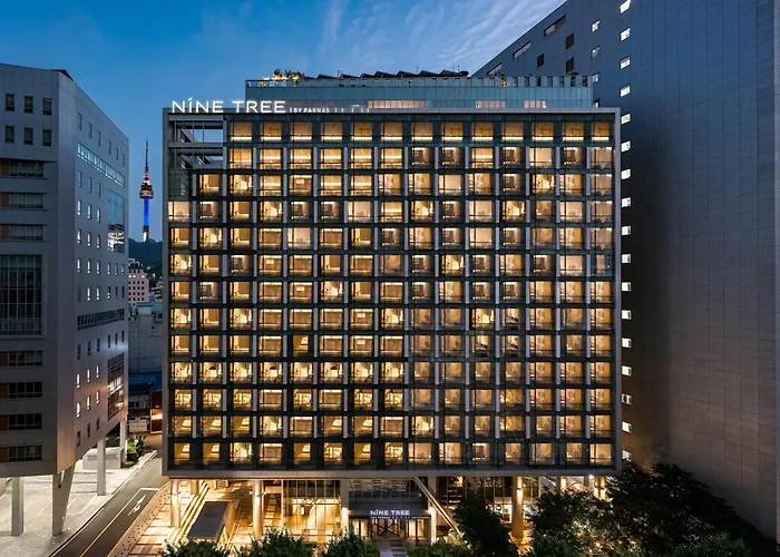 Nine Tree By Parnas Seoul Myeongdong 2 Hotel