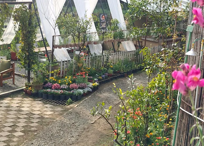 Cottages @ Village Bhimtal