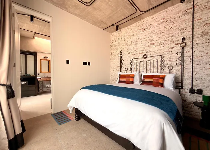 Maximo Mexico Roma Hotel