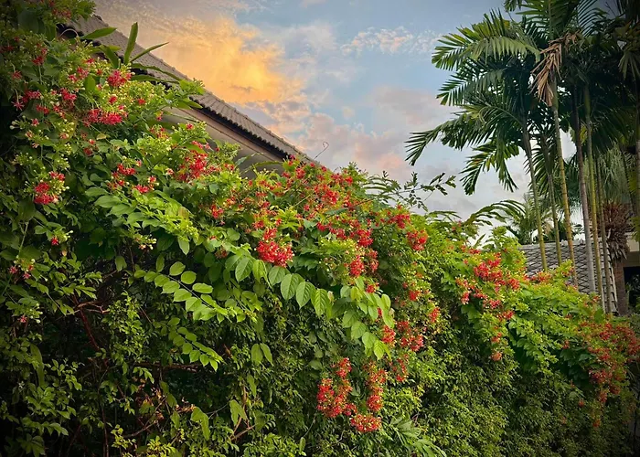 Shewe Wana Suite Resort Chiang Mai