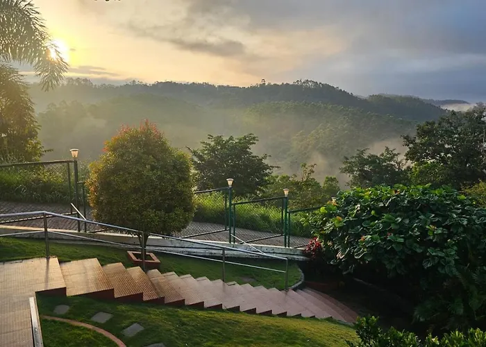 The Lake View Munnar