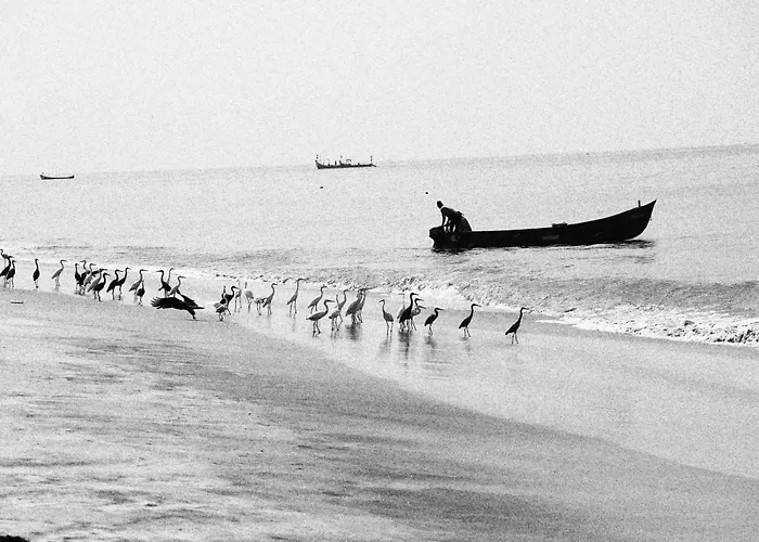 Kadalamma Beach Homestay Alappuzha