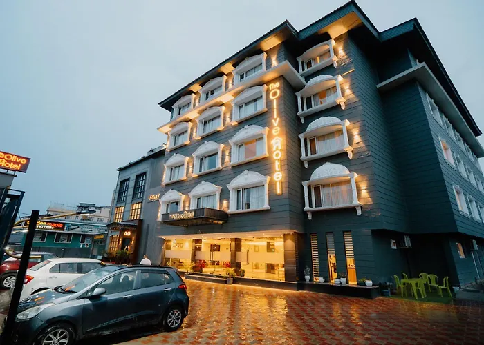 The Olive Hotel Srinagar
