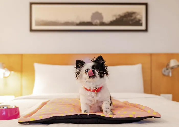 Ibis Chennai Omr - An Accor Brand Hotel