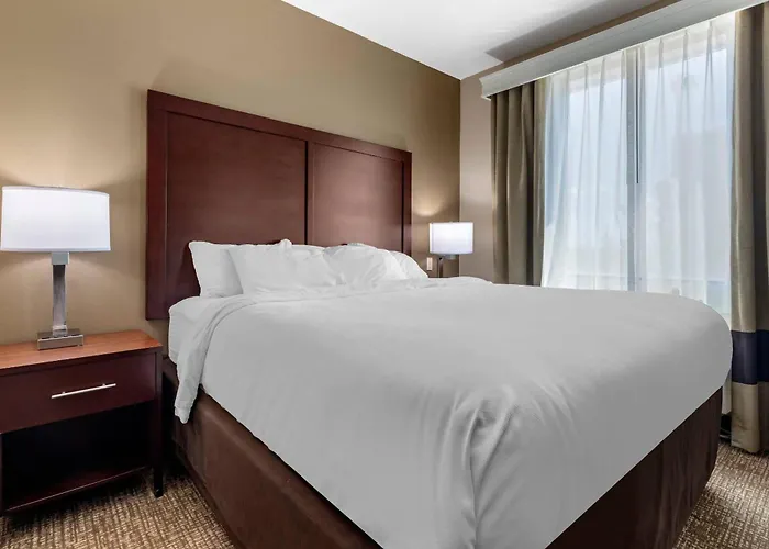 Comfort Suites Plano - Dallas North