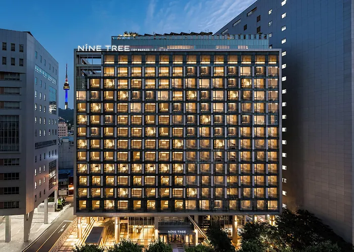 Nine Tree By Parnas Seoul Myeongdong 2 Hotel
