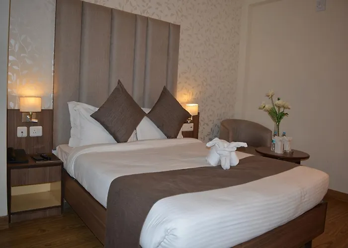 Hotel Krrish Patna 