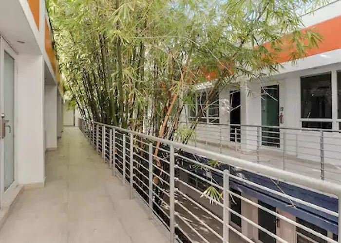 Dolce By Wyndham Miami Beach